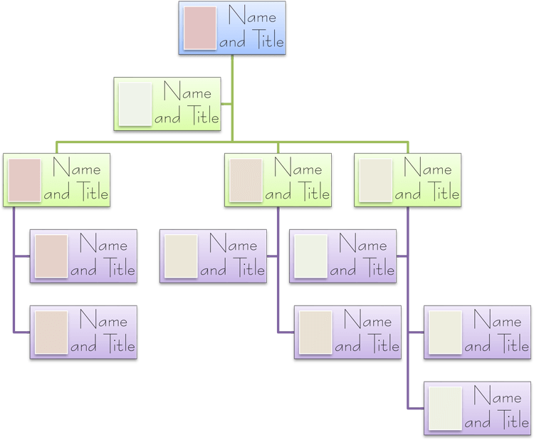 Blank Organizational Chart Word