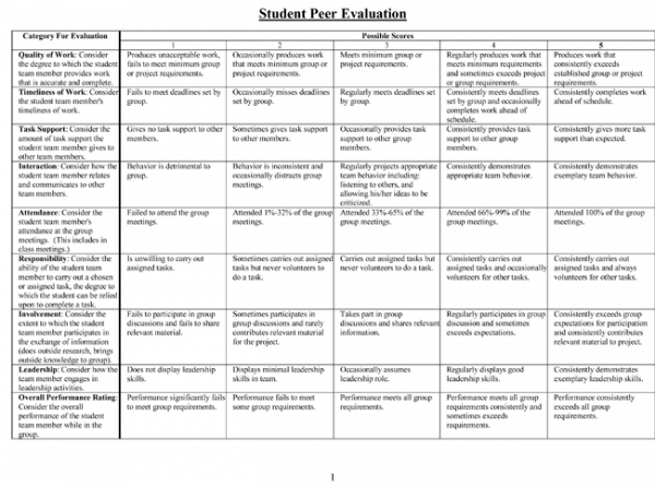 Student-Peer-Evaluation-Form-600x445.png