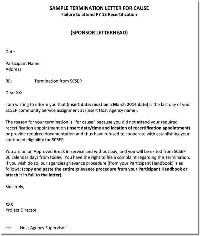 Employment Termination Letter Example from www.doctemplates.net