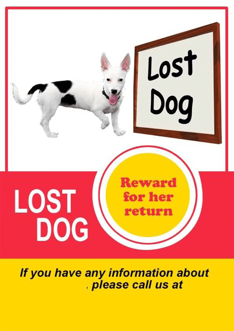 lost-dog-flyer-template-best-template-ideas