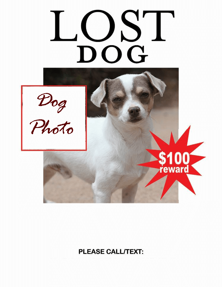 Lost-Dog-Flyer-Template-11