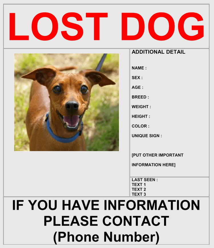 lost-dog-flyer-template-word