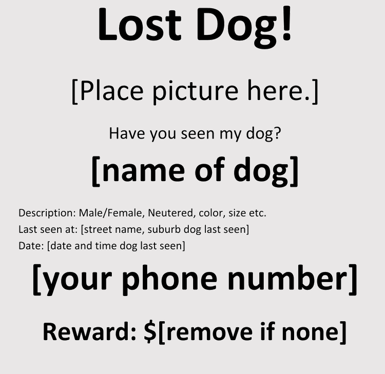 Lost-Dog-Flyer-Template-5