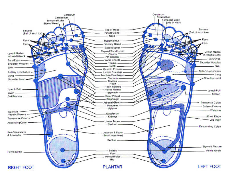 Free Foot Reflexology Chart 04