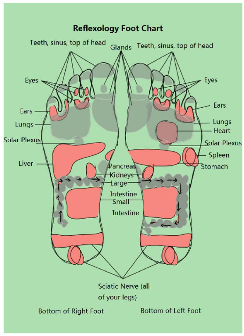 Free Foot Reflexology Chart 05