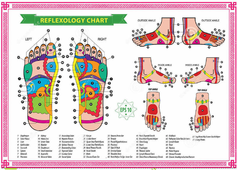 Free Foot Reflexology Chart 06