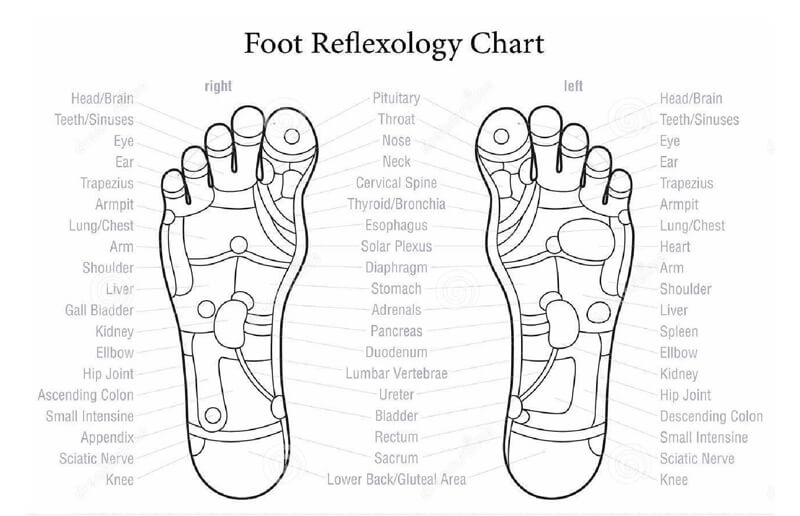 Free Foot Reflexology Chart 08