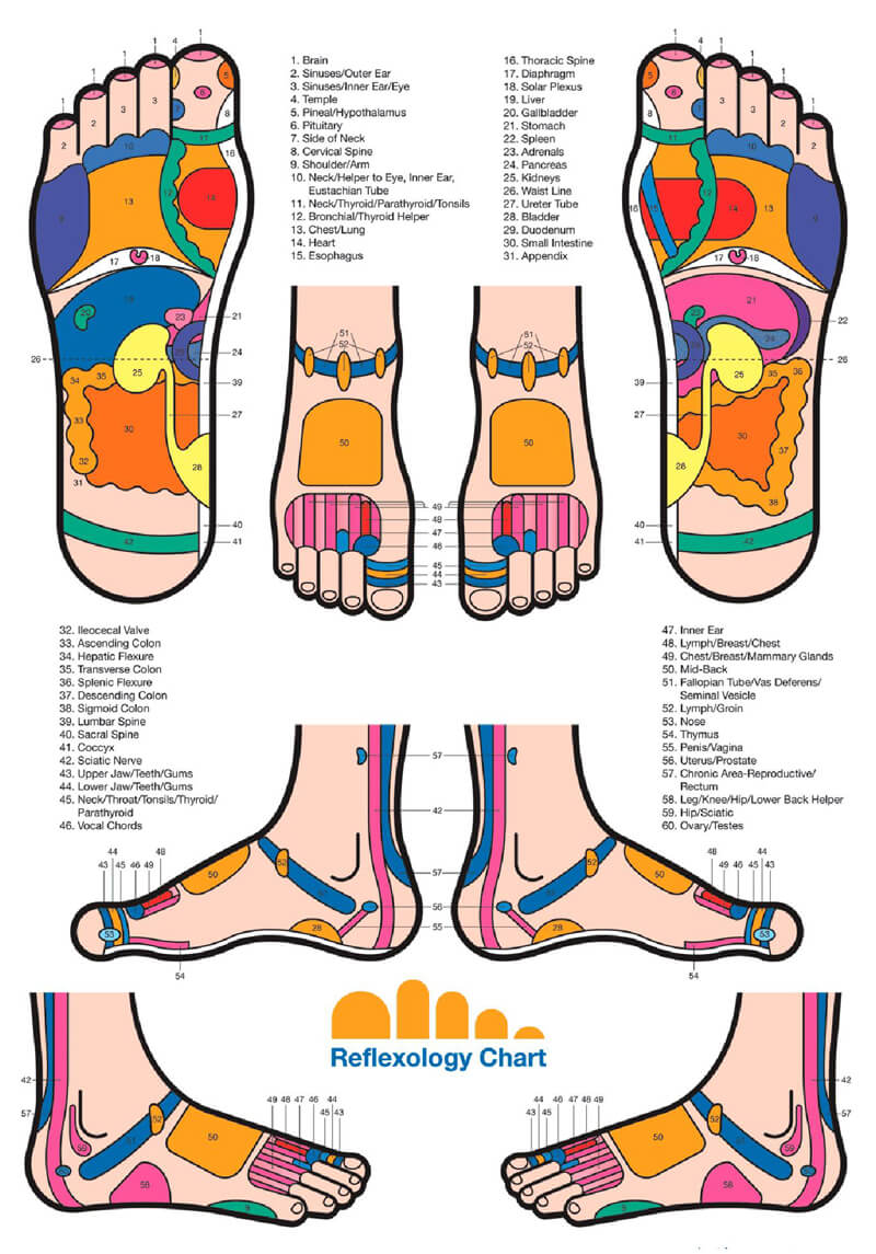 Reflexology Chart Feet Uterus