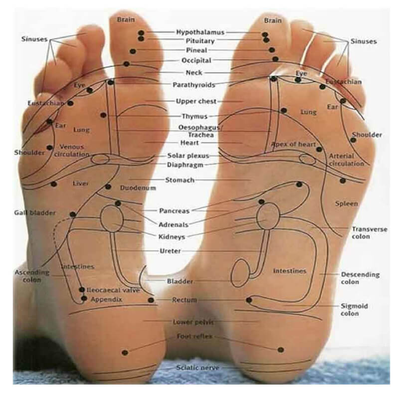 Free Foot Reflexology Chart 11