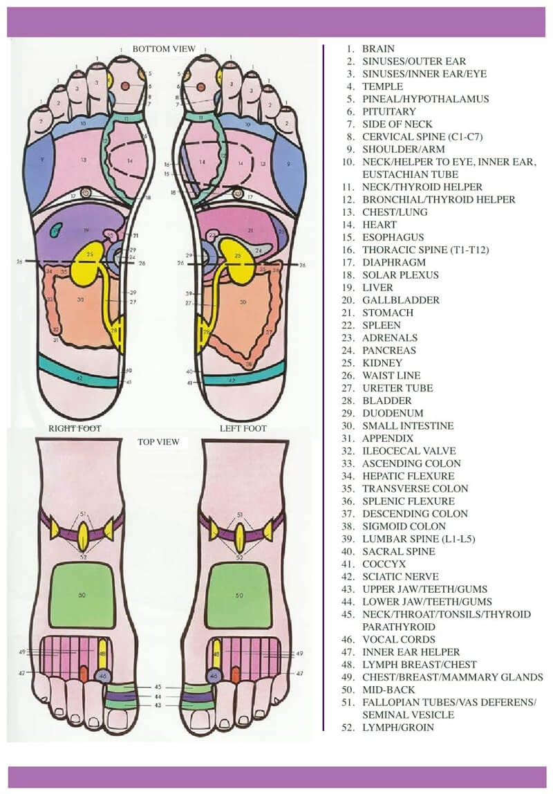 Free Foot Reflexology Chart 12