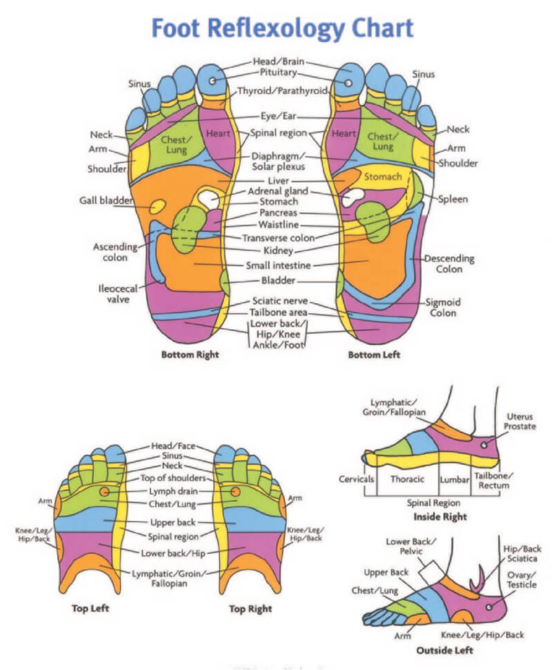 Free Foot Reflexology Chart 14