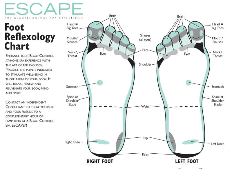 Free Foot Reflexology Chart 17