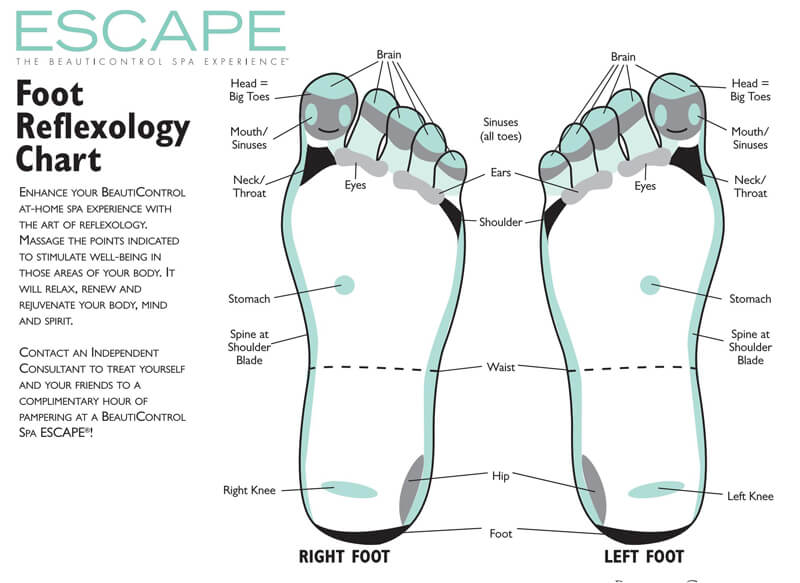 Toe Reflexology Chart