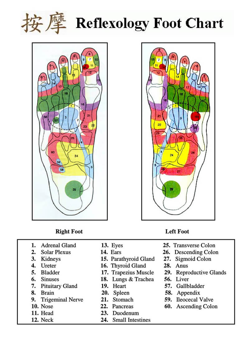 Free Foot Reflexology Chart 18