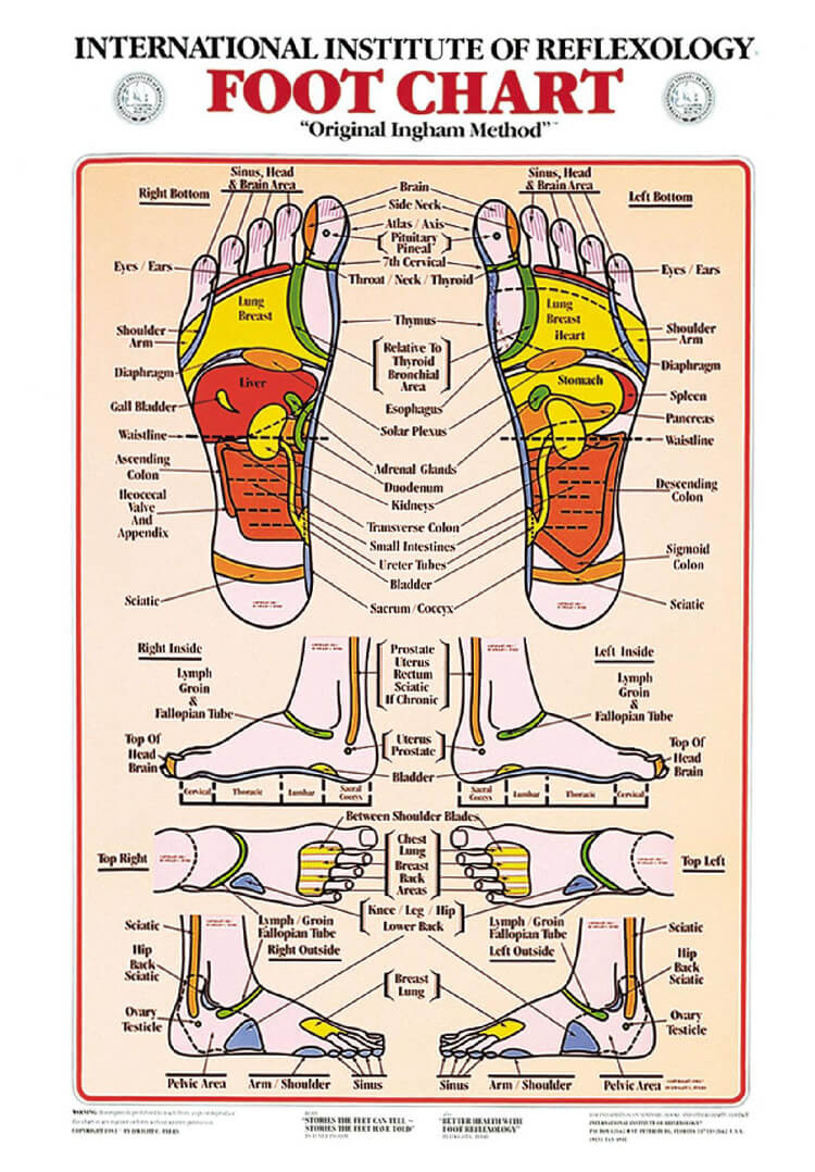 Free Reflexology Foot Chart