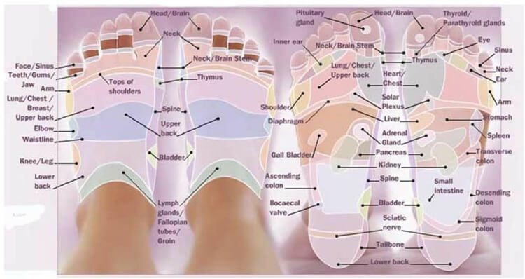 Free Foot Reflexology Chart 27