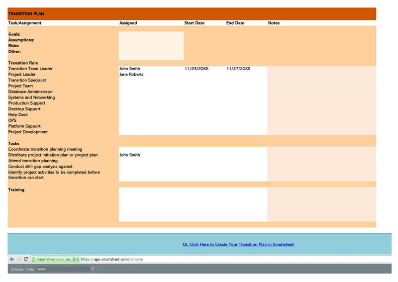 Transition Plan Excel Sheet Template 04
