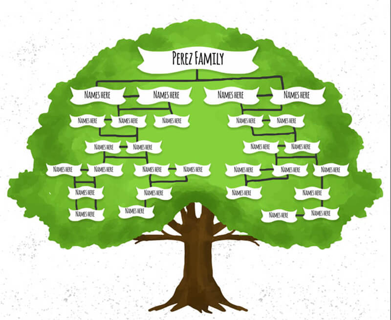 Free Family Tree Charts And Templates Word Pdf Ai