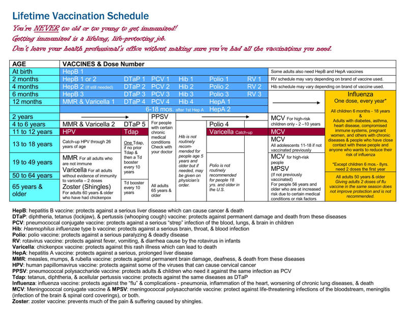 Pregnancy Vaccination Chart