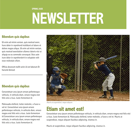 16+ Free Printable School Newsletter Templates [Word - PDF]