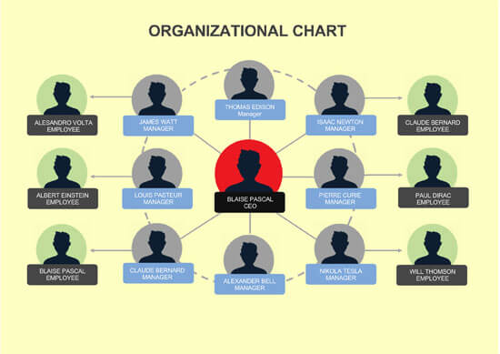 6 Types Of Organizational Structure