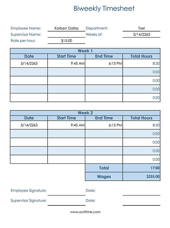 Biweekly Timesheet for Consultant