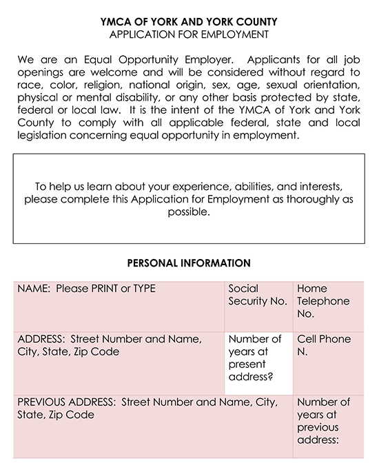 Job Application Template 08