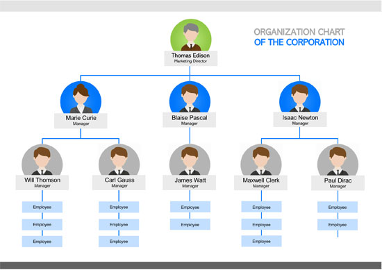 Organization Chart Of The Corporation