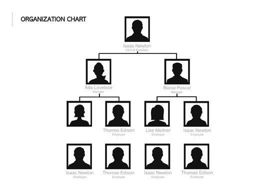 Types Of Organizational Structure Pdf
