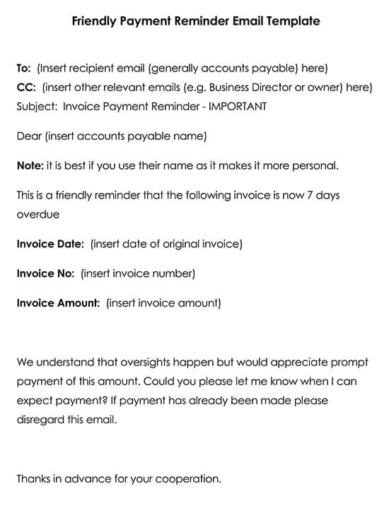 Friendly Payment Reminder Email Template