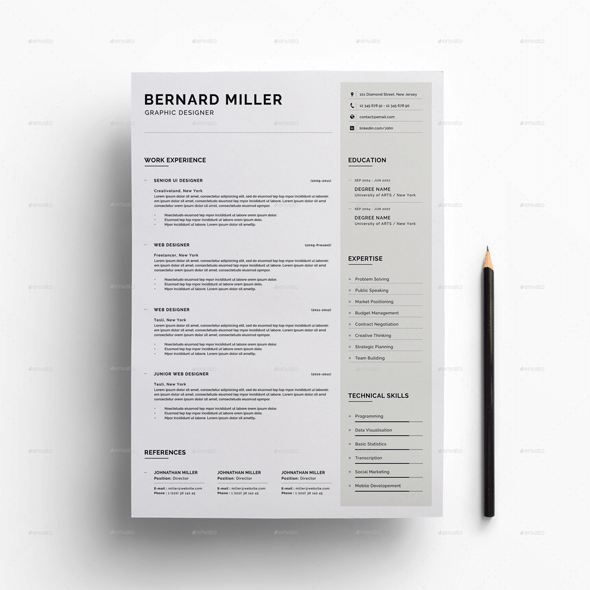 Resume Format For Accountant In Word Format Download Free