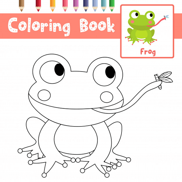 frog-eating-fly-coloring