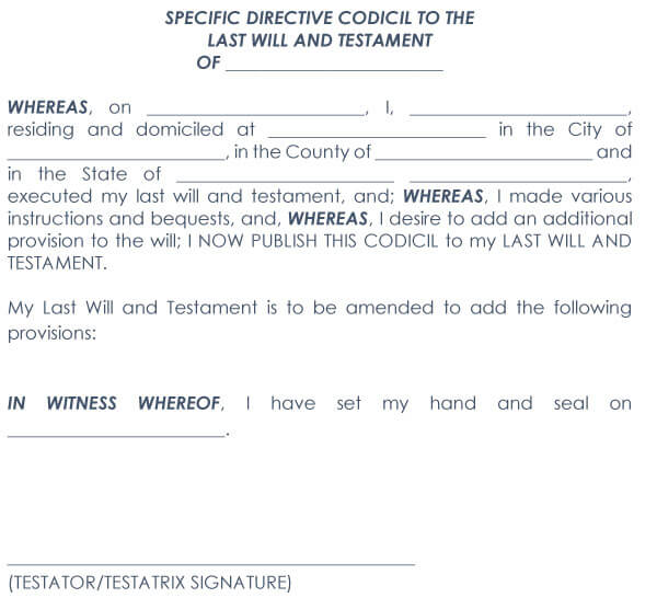 10 Free Codicil to Will Forms (Word PDF)