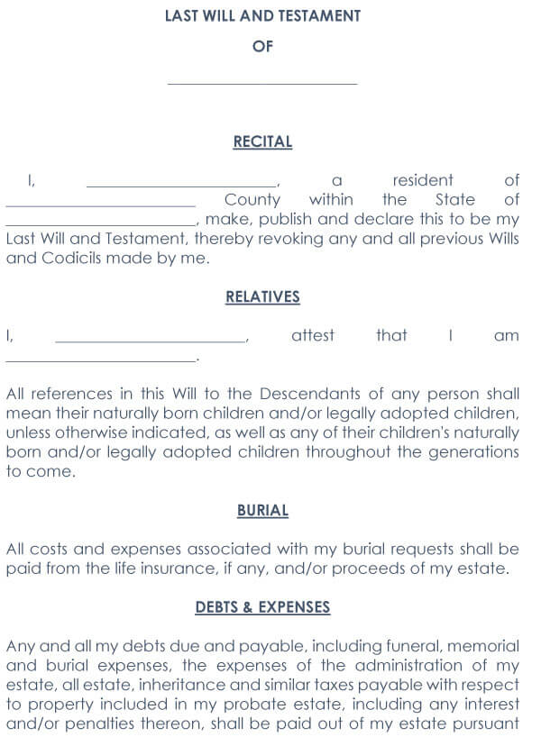 Codicil To Will Form 08