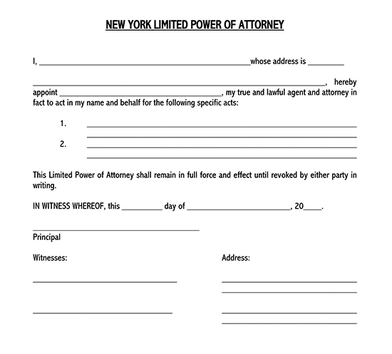 limited power of attorney form for motor vehicle 04