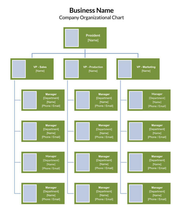 Company-Organization-Chart-SmartArt_
