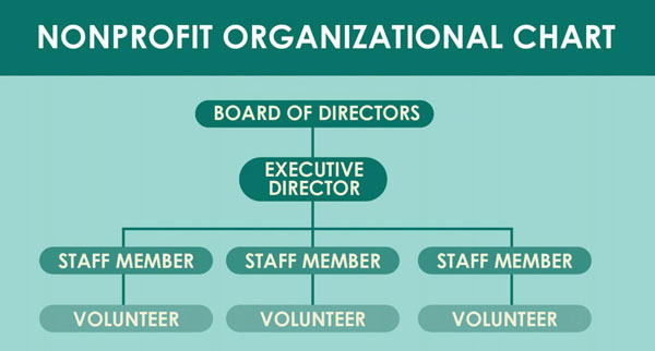non profit organization chart template