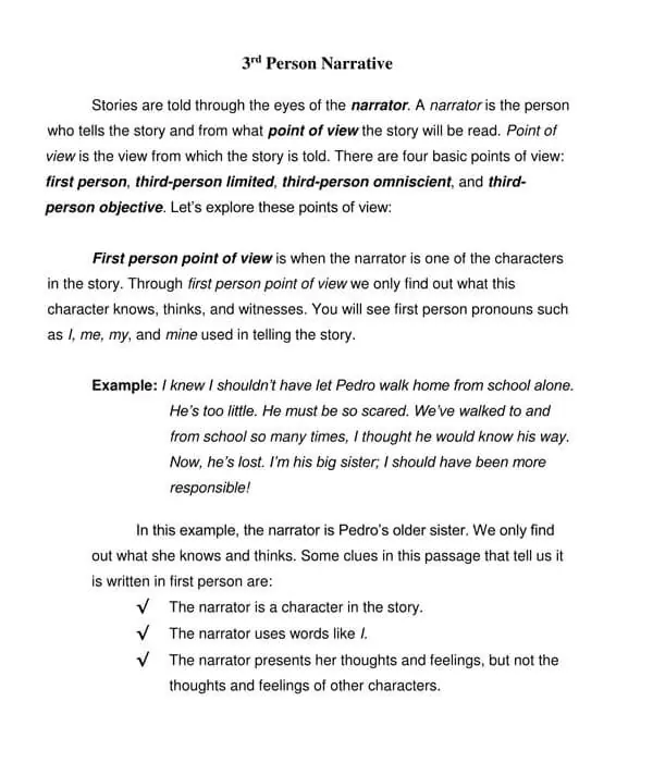 third person essay example