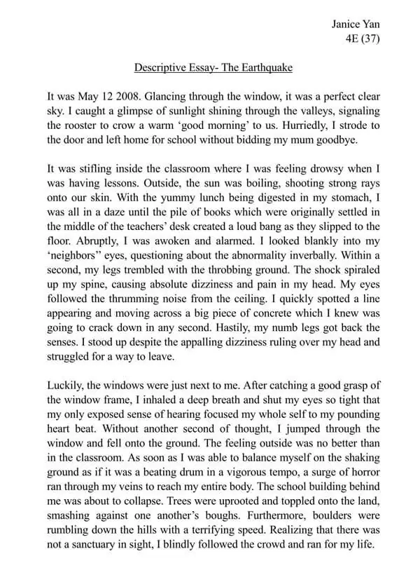 high school essay examples free