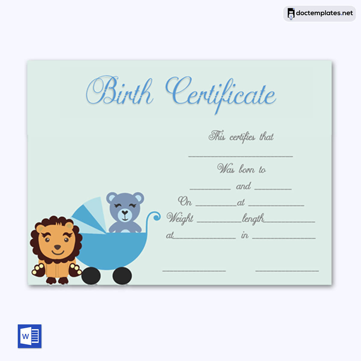 
make a birth certificate online
05