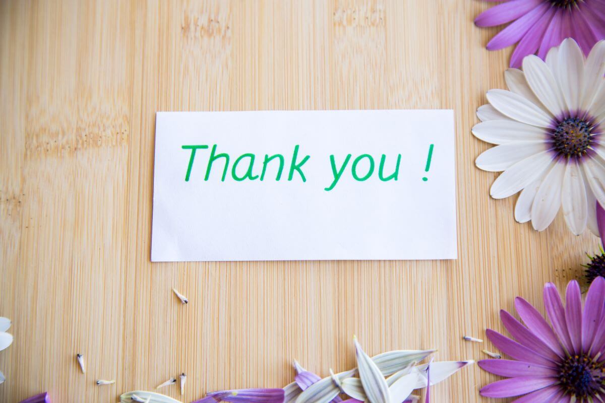 Customer Thank you email feature image