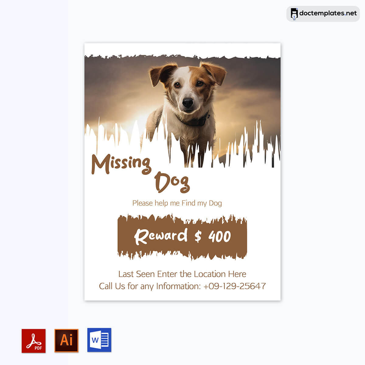 "Pet Search Flyer Design" - Enhance your pet search efforts with this well-designed flyer template for cats and dogs.