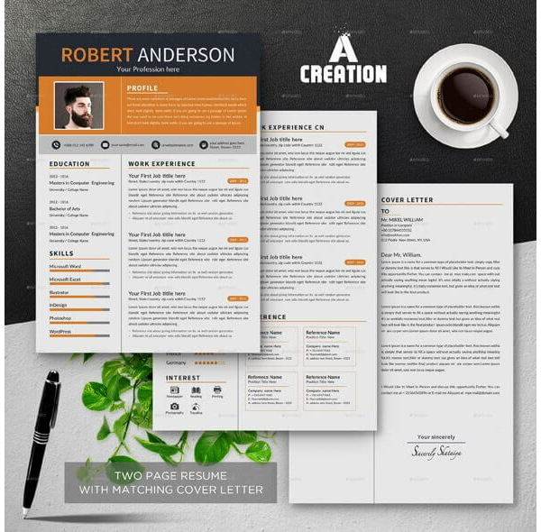 Financial Accountant Resume Template 08