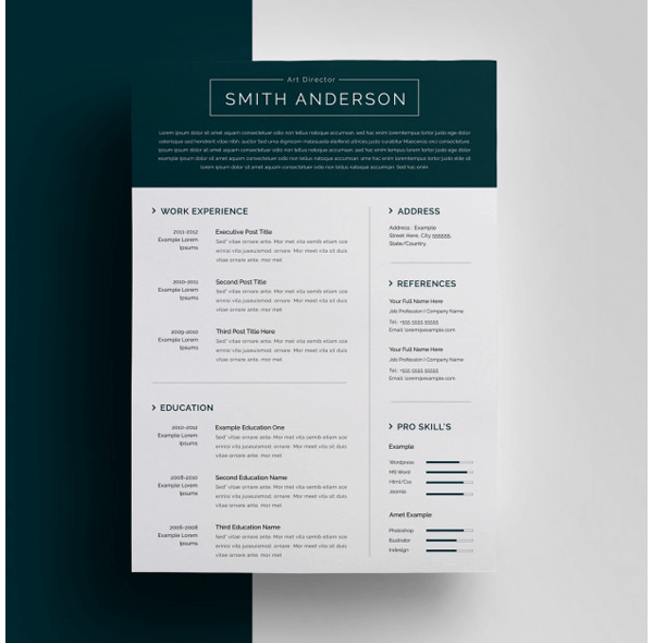 Financial Accountant Resume Template 16