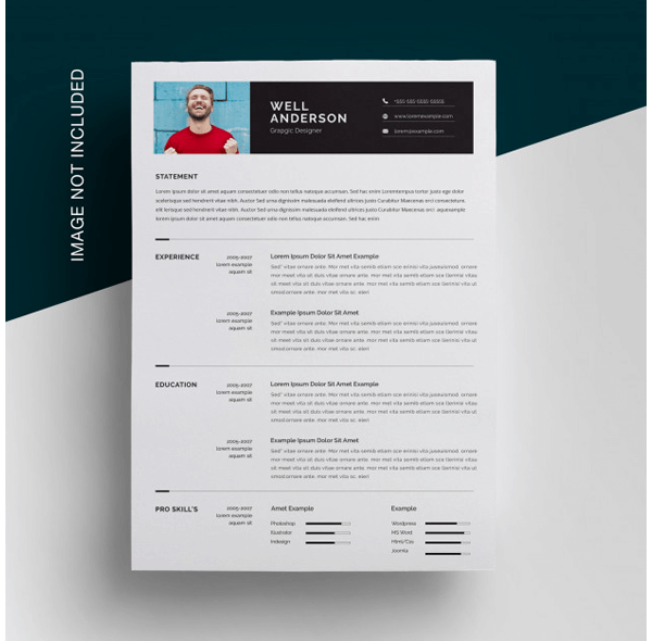 Financial Accountant Resume Template 17