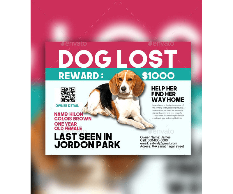 Lost Cat / Dog Flyer & Poster 17