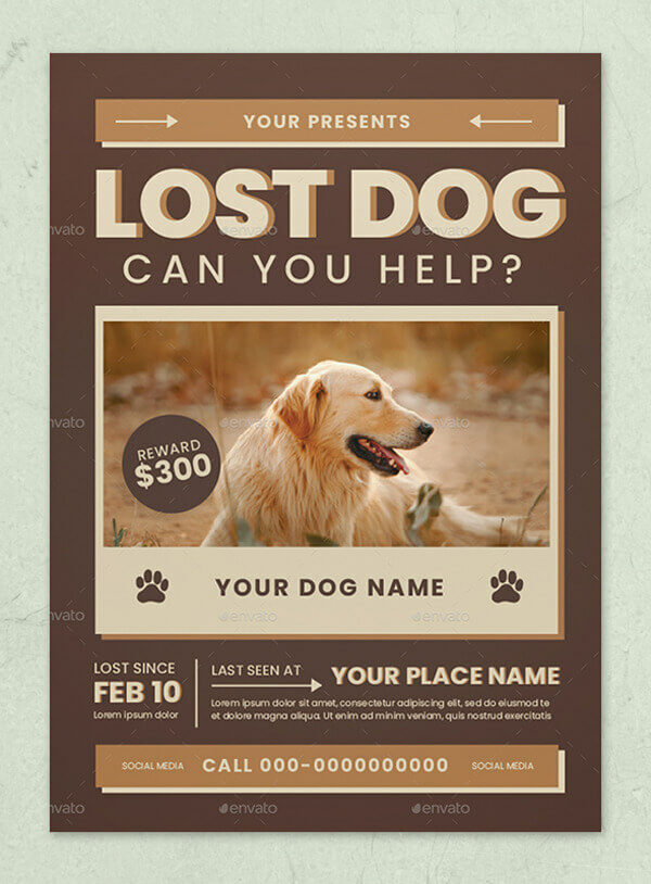 Lost Cat / Dog Flyer & Poster 18