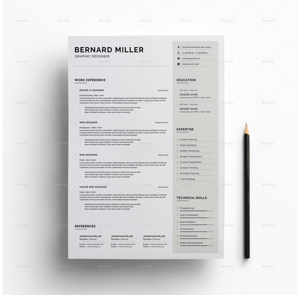 Financial Accountant Resume Template 12
