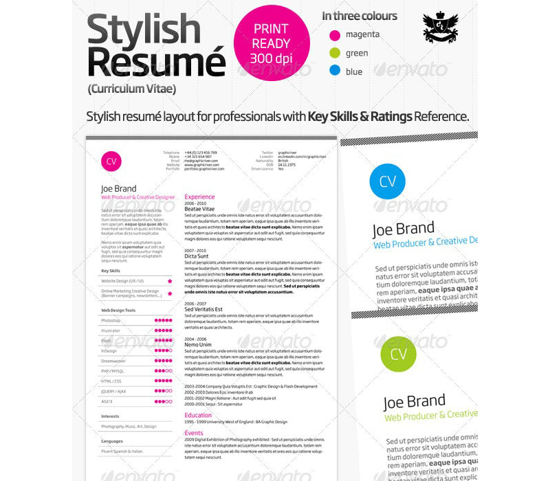 Stylish Designer Resume Template