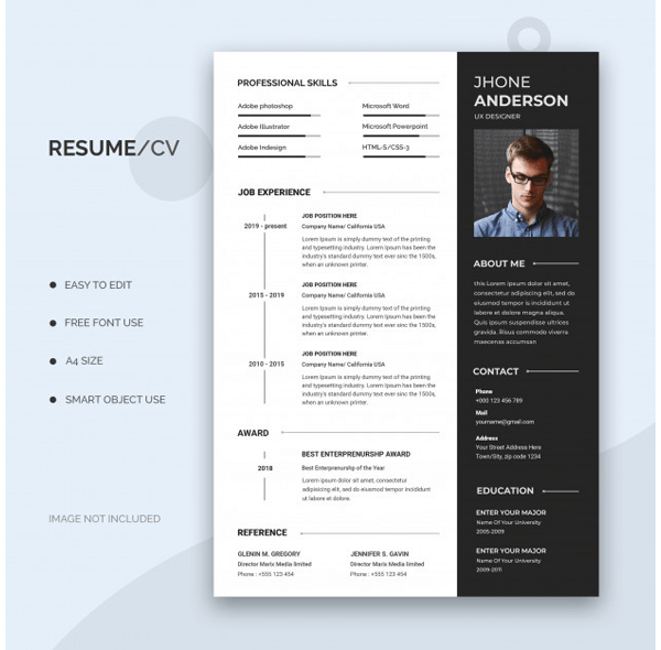 Web Designer and Developer Resume 24